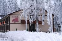 winter_hotel